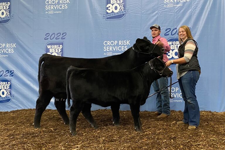 World Beef Expo and the first time showing with each other and not against each other.
