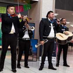 Valdes Music Productions, profile image