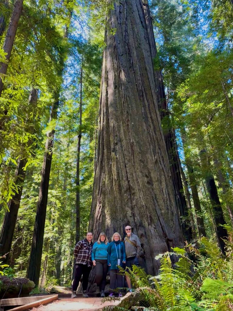 Road trip to the Redwoods with my parents to show them the park and scout wedding locations!