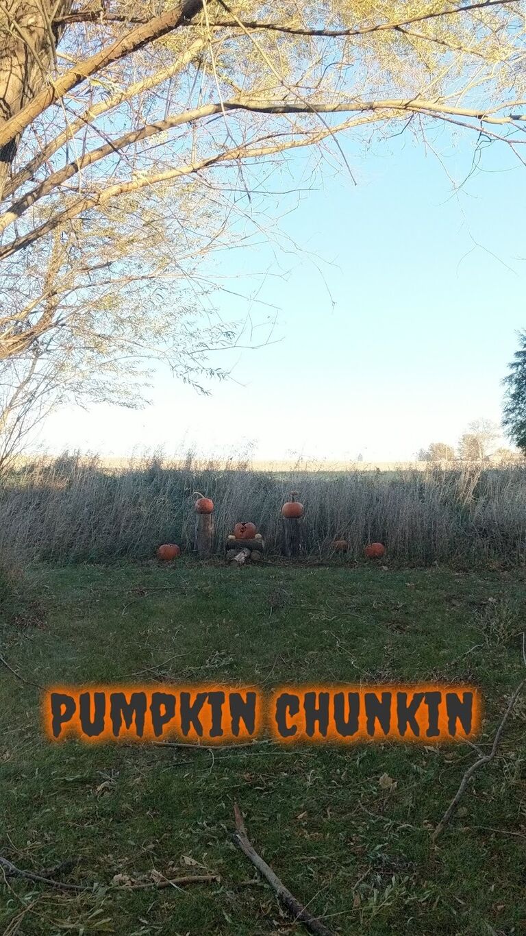 Target shooting pumpkins