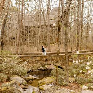 Gallery Photo 6