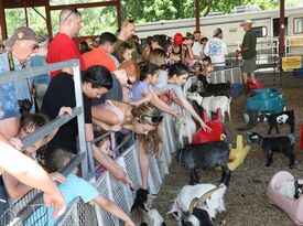 Circle K Farm – Alpacas & Farm Animals - Animal For A Party - East Hampton, CT - Hero Gallery 1
