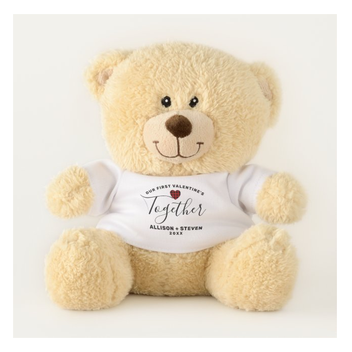 First Valentine's Day Teddy Bear Gift
