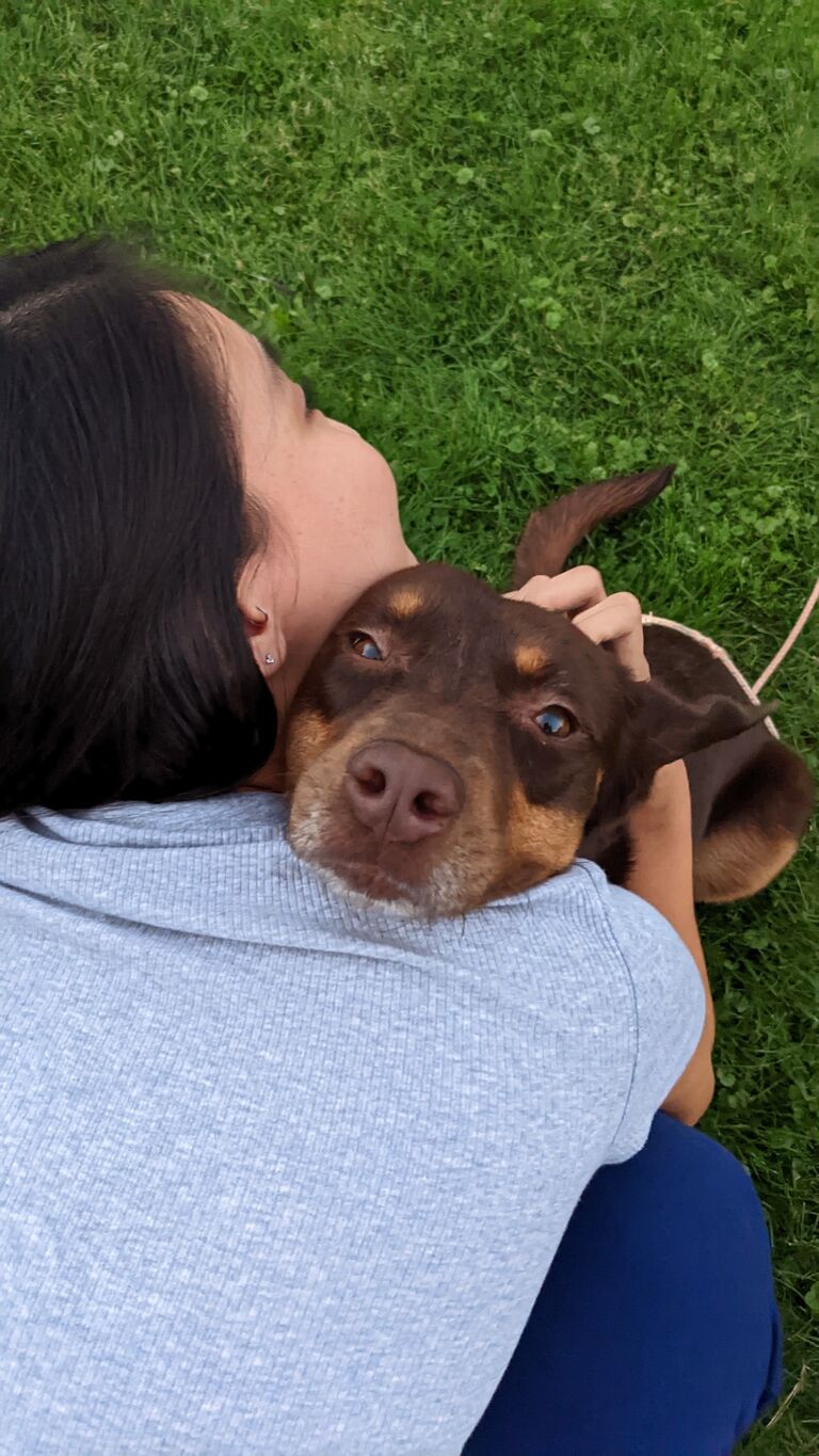 Cuddly Miss Mochi joins the family. After a few dog-less years Claire and Cal get their second dog. Mochi's only desires in life are food and snuggling. She is the opposite of Copper in everyway but their lovability.
