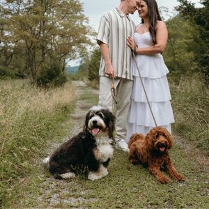 Gallery Photo 19