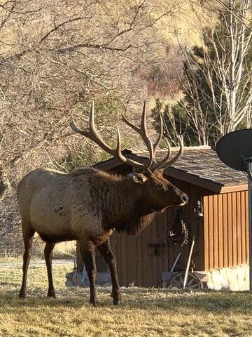 Quiet Meadow Farm Reception  Venues  Mapleton  UT 