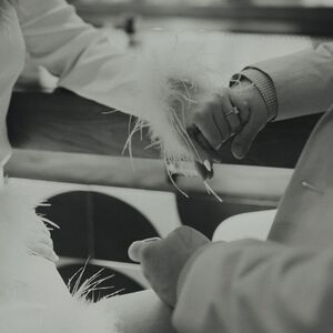 Gallery Photo 2