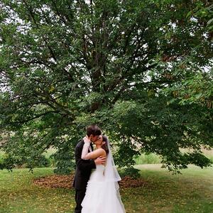 Gallery Photo 7