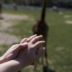 Gallery Photo 4