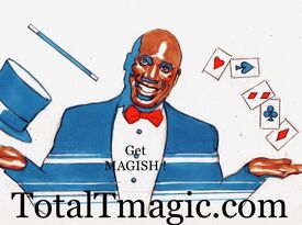 Total-T Magic by Terrence Hunter - Magician - Glenview, IL - Hero Gallery 1