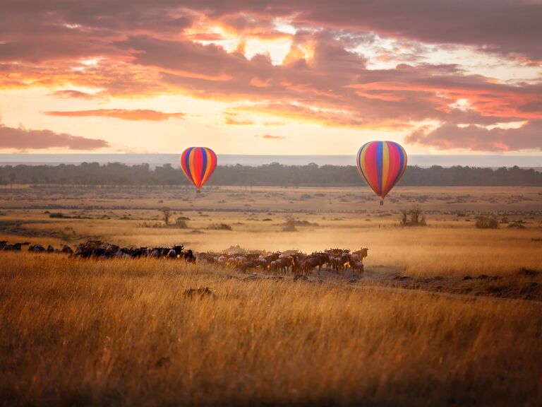 hot air balloon flies over masai mara in the morning and wildebeest