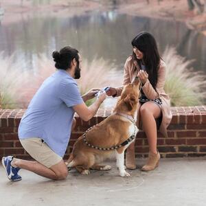 Gallery Photo 37