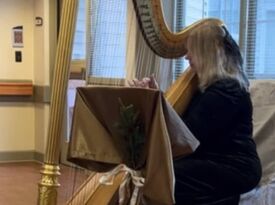 Beautiful Harp Music - Harpist - Reading, PA - Hero Gallery 1