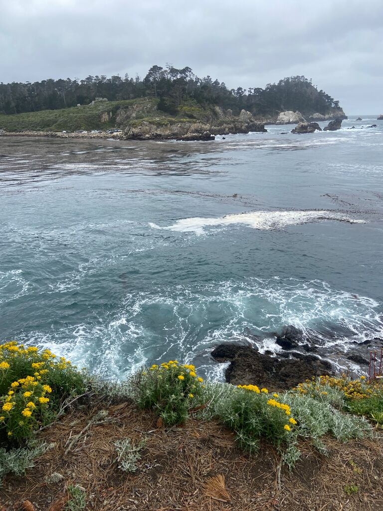 Beautiful scenery in Carmel by the Sea.