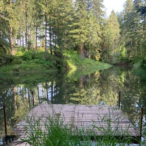 Gallery Photo 4