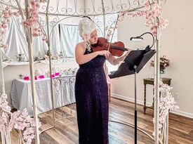 Music by Nicolette - Classical Violist - Violinist - Jacksonville, FL - Hero Gallery 3