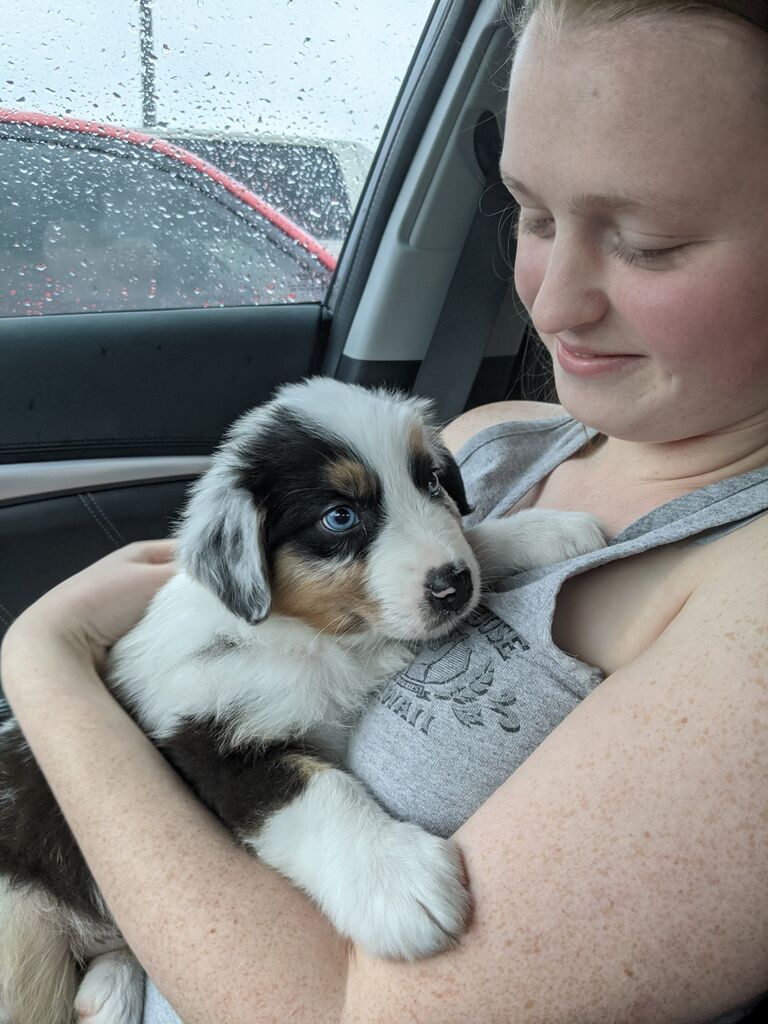 Picking up Appa