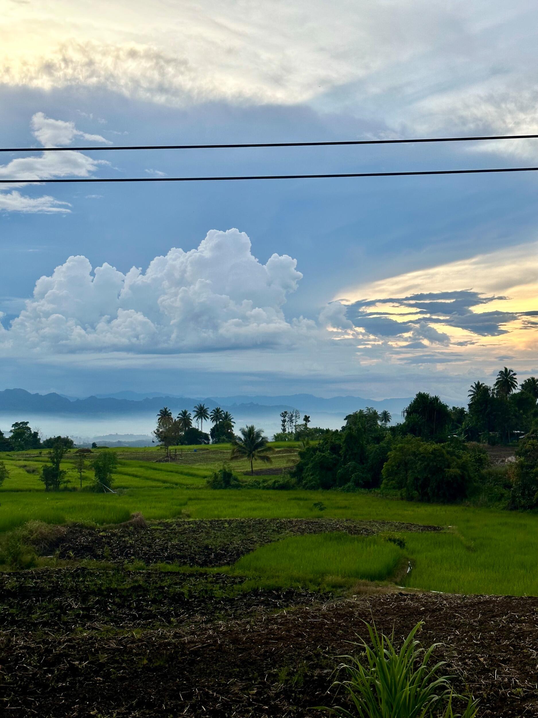 Our path's crossed again at the 2022 Partners Relief & Development retreat in Thailand and again, quite clicked, but... life & logistics. 