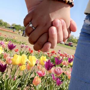 Gallery Photo 26