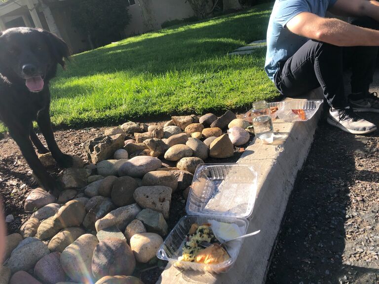 Celebrated our 6 month anniversary outside, at a distance during the Covid shutdowns