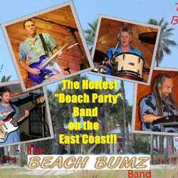 The Beach Bumz /Beatlemania Returns / Kiss Tribute, profile image