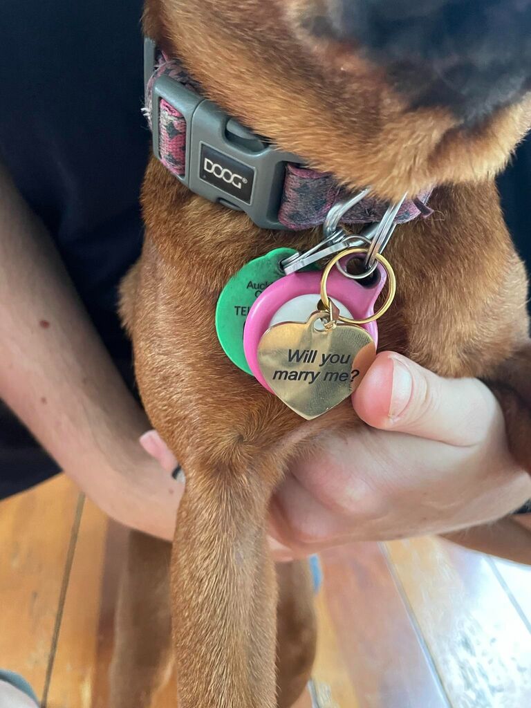 Blimmin engaged!