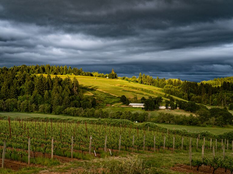 WINE COUNTRY LANDSCAPES