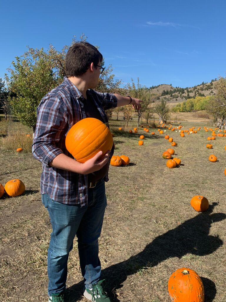 Picking out pumpkins together