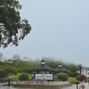 Gallery Photo 20