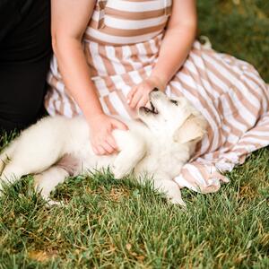 Gallery Photo 18