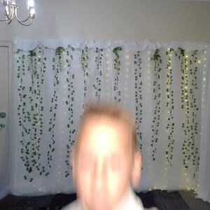 Gallery Photo 198