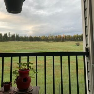 Gallery Photo 9