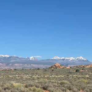Gallery Photo 16