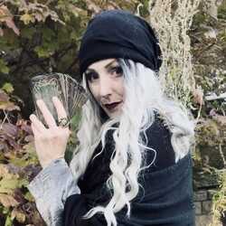 Wren | Tarot Witch, profile image