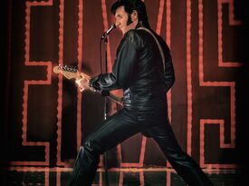 Ronnie Scott - Elvis Impersonator - Vancouver, BC - Hero Gallery 2
