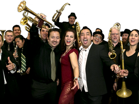 Grammy Award Winning - Pacific Mambo Orchestra - Latin Band - San Francisco, CA - Hero Gallery 1