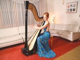 Erin Hill - Harpist and Singer - Harpist - Louisville, KY - Hero Gallery 3