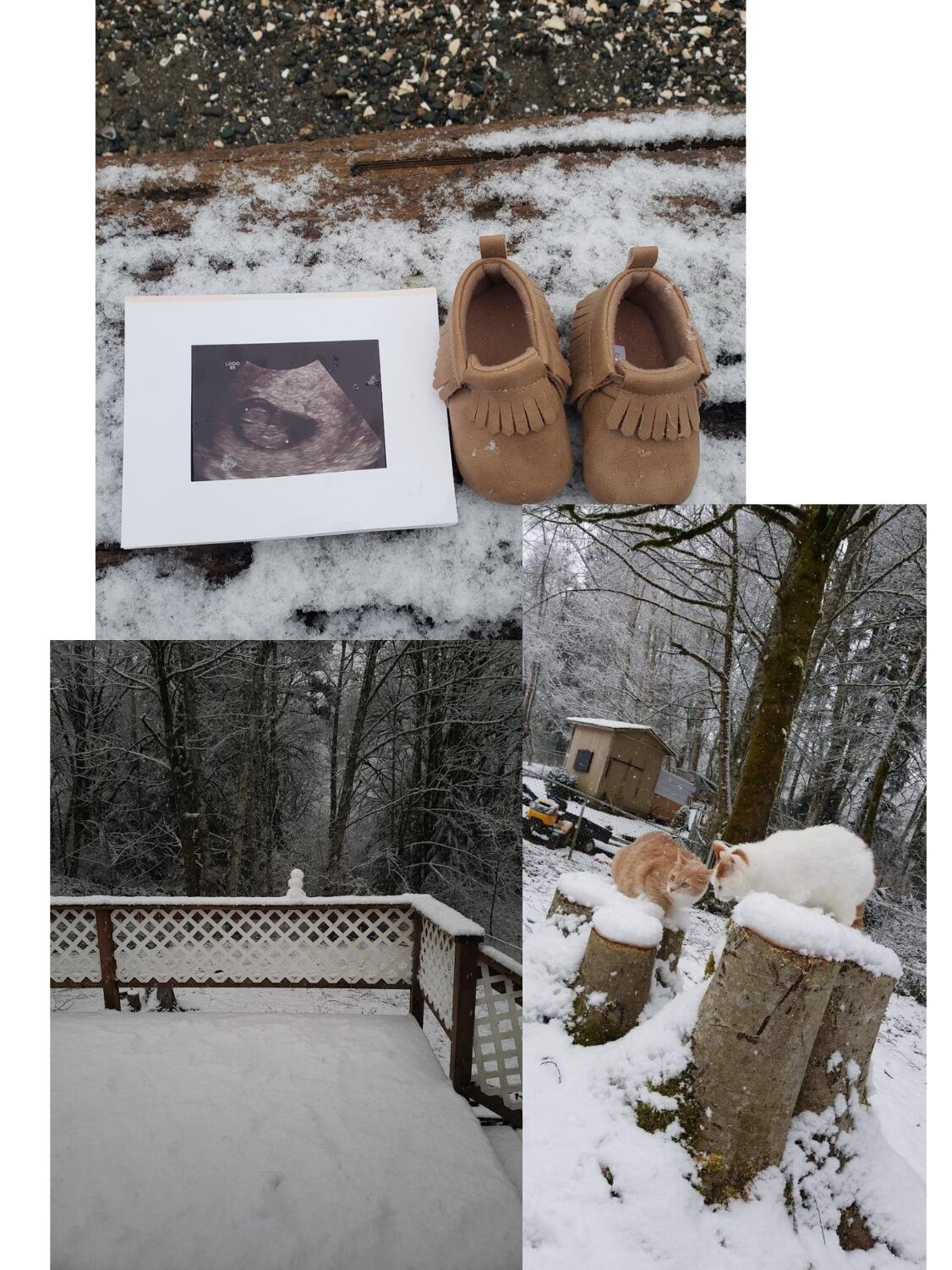 The first snow in our place in Illahee Preserve