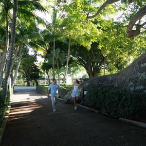 Gallery Photo 52