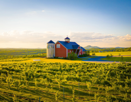 Maquam Barn & Winery wedding venue in Milton, Vermont