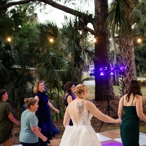 Gallery Photo 202