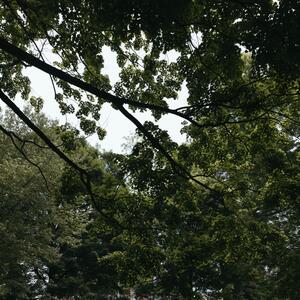 Gallery Photo 30