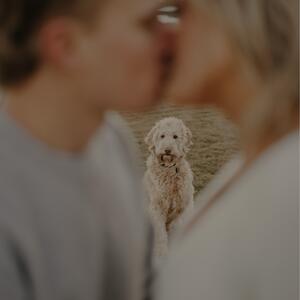 Gallery Photo 22