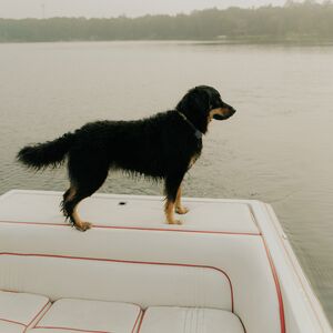 Gallery Photo 73