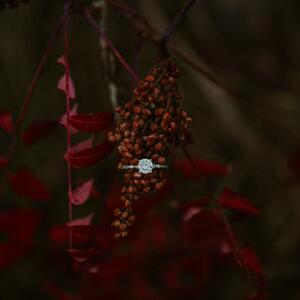 Gallery Photo 21