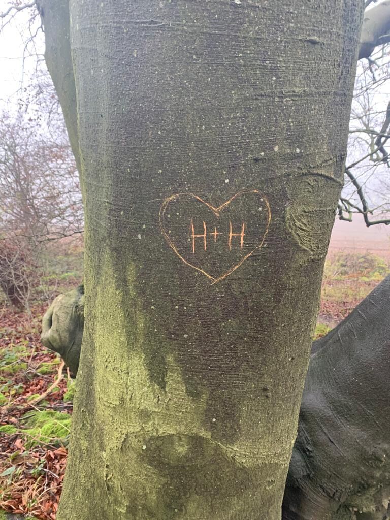 Remember this tree for later in the timeline… 