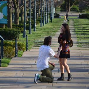 Gallery Photo 5