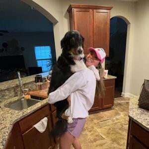 Gallery Photo 61