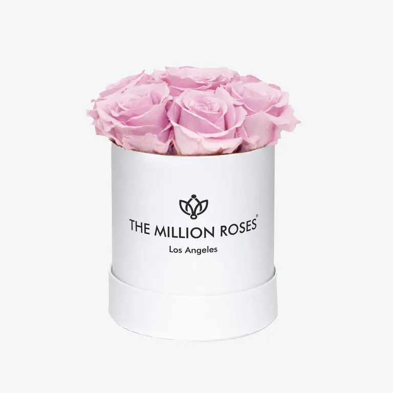 Light pink preserved roses maid of honor gift from The Million Roses