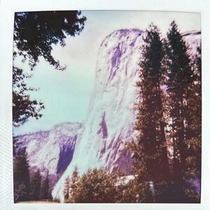 Gallery Photo 8